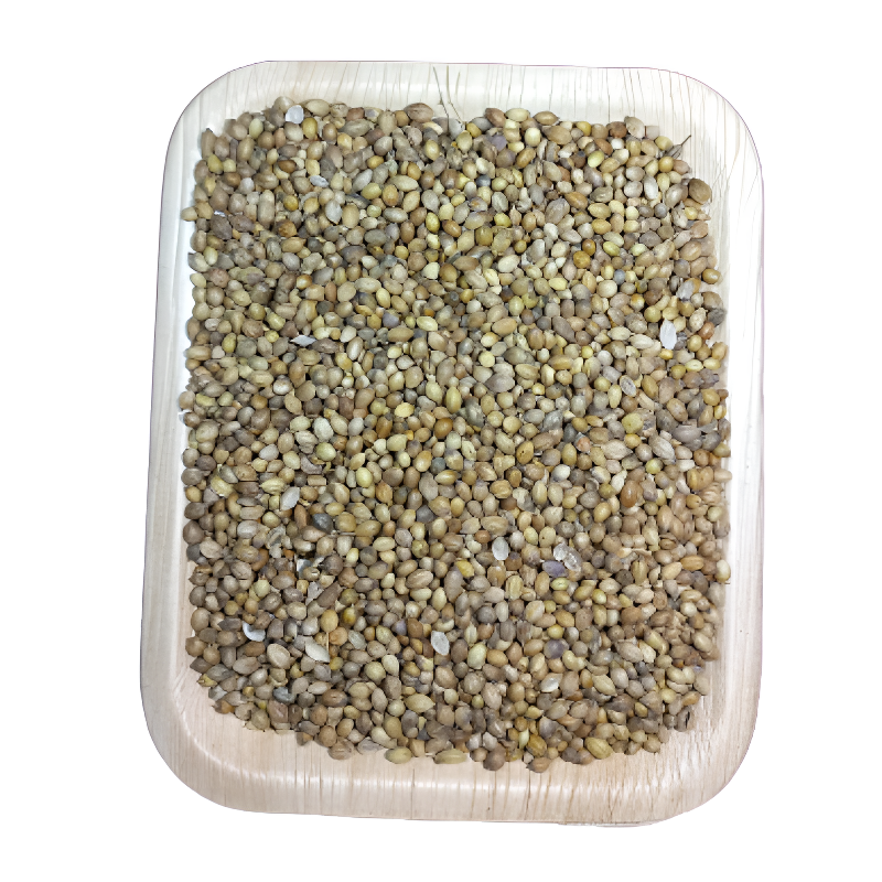 Coriander/கொத்தமல்லி Main Image